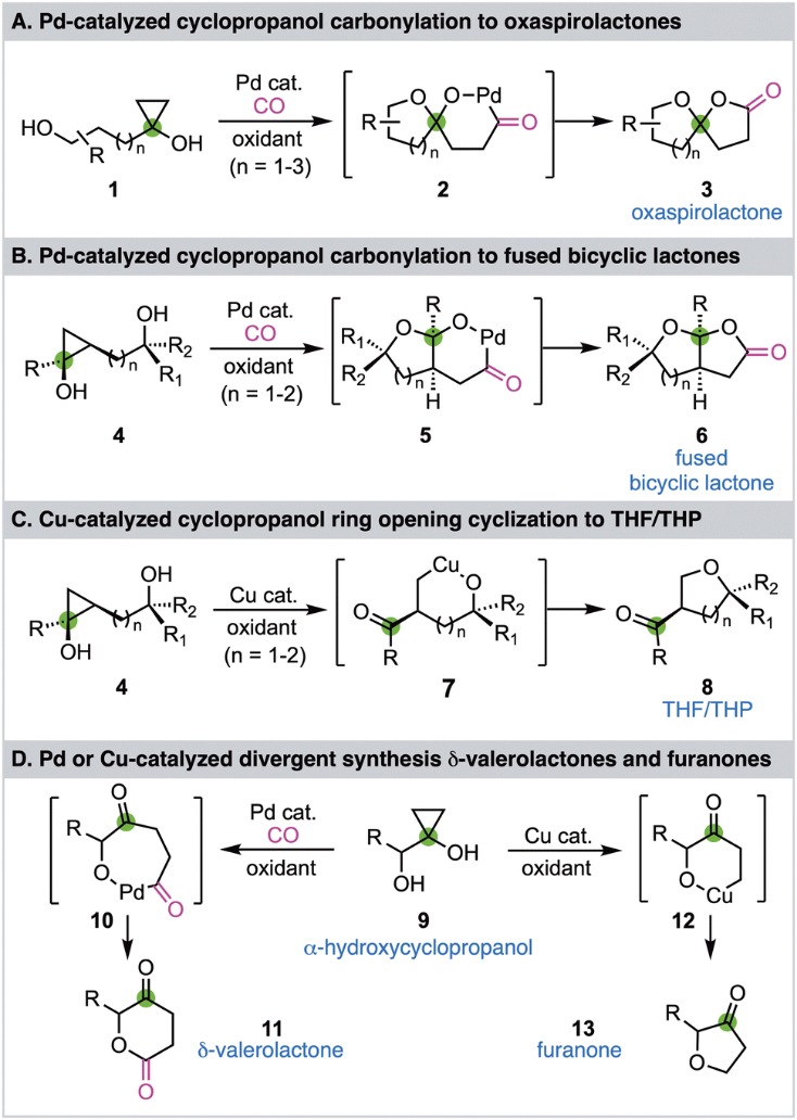 f1上海线上直播