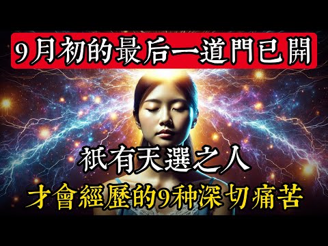 f1上海站门票价格