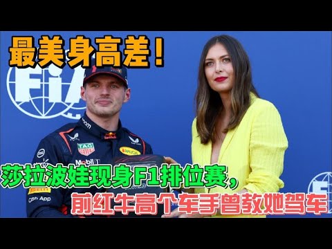 f1排位赛